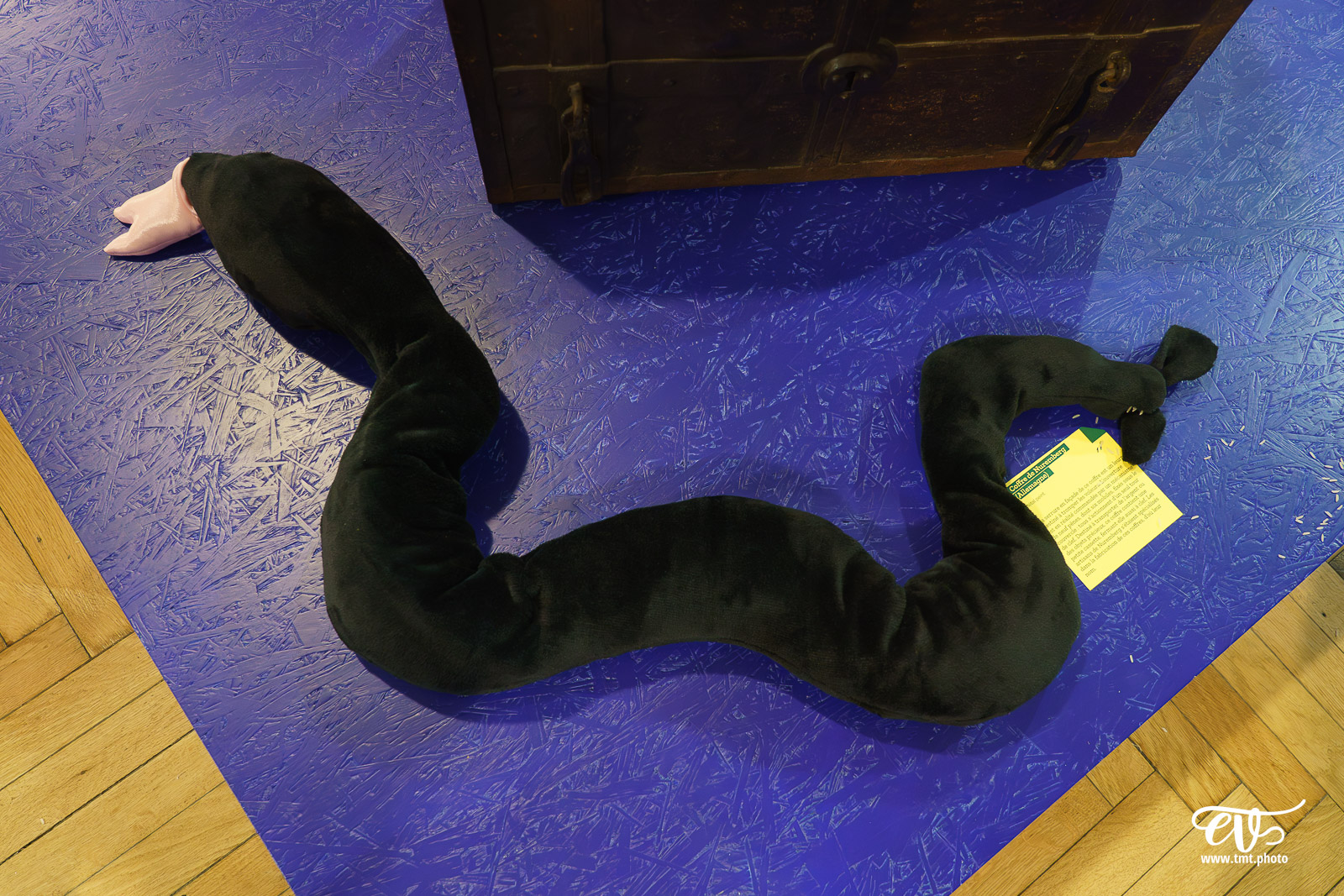 CARTE BLANCHE AU TALON ROUGE (CIE LE TALON ROUGE)